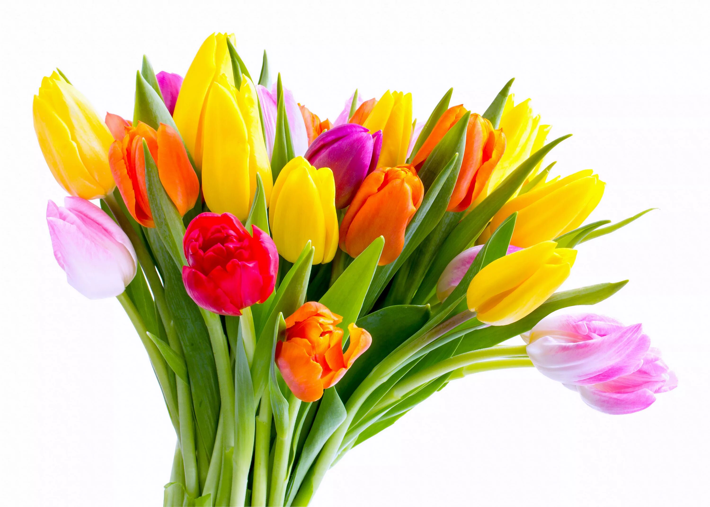 Букет цветов картинки тюльпаны. Букет тюльпанов. Весенний букет тюльпанов. Яркий весенний букет.