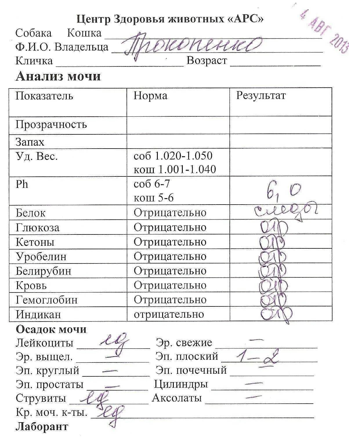 Сколько не пить перед сдачей анализов. Общий анализ мочи. Анализ мочи анализ крови. Анализ мочи на наркотики. Результат анализа крови на алкоголь.