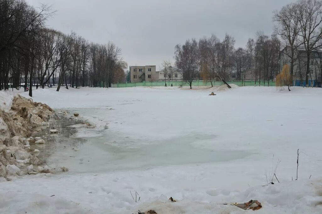 Город костино. Пруд Костино Королев. Парк Костино пруд. Костино пруд город Королев. Костинский пруд в Королеве.