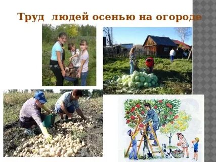 Планирование труд людей осенью подготовительная группа