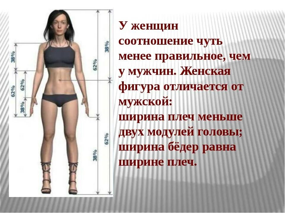 Какая норма 90 60 90. Идеальные пропорции тела. Пропорции тела человека. Идеальное соотношение ног и туловища. Идеальные пропорции женского тела.