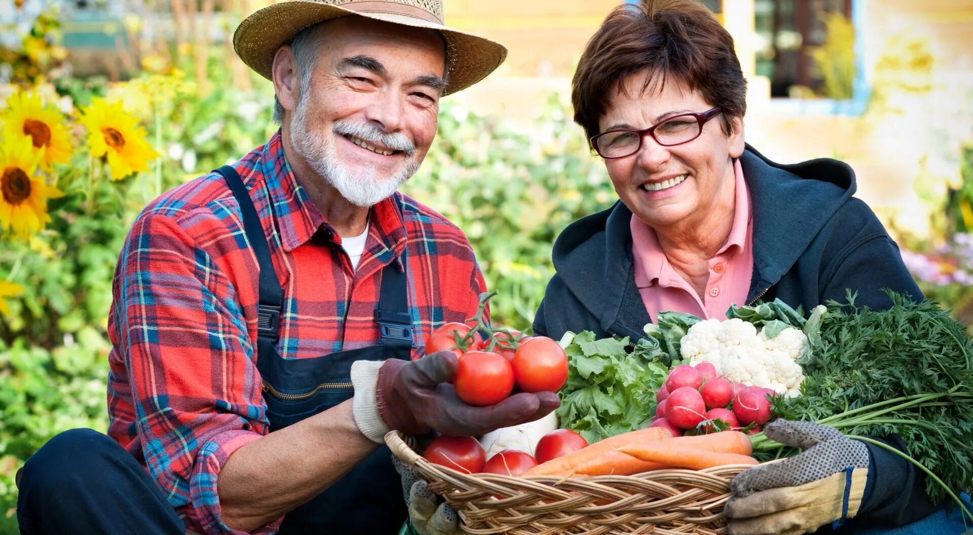 садово-огородный инвентарь. садовник в огороде. дачник садовод огородник. огород и дача книги. хороший урожай.