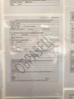 Анкета гражданство казахстана