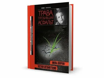 Книга асфальт