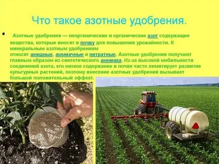 Виды удобрений в сельском хозяйстве