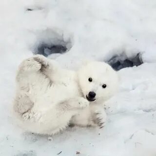 Белый маленький под