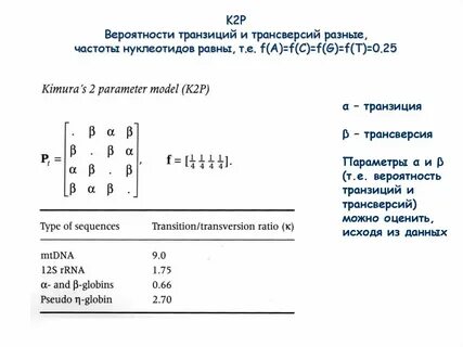 Трансверсия