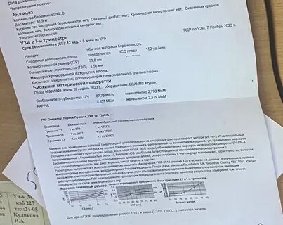 Рарр в 12 недель