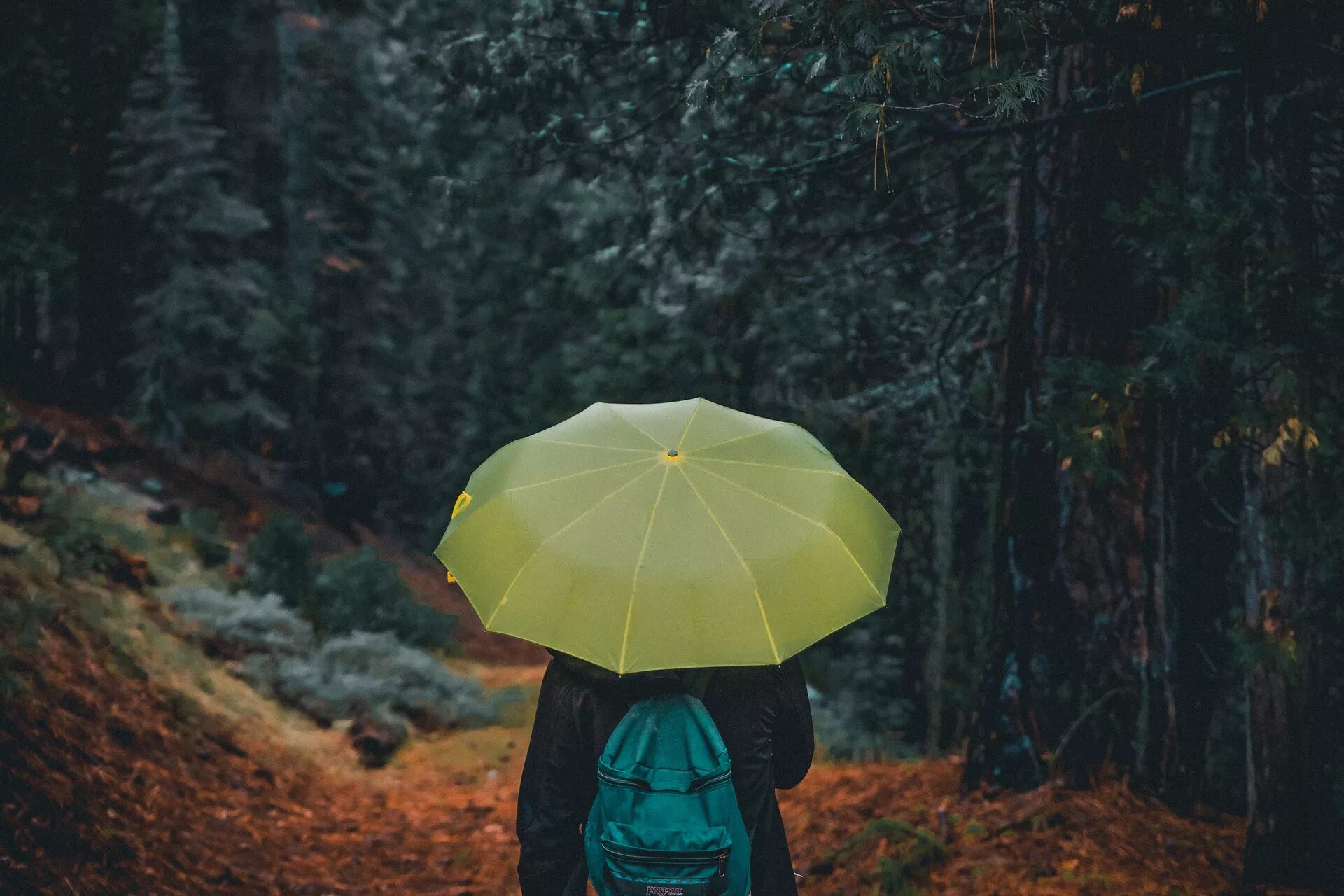 Look the rain start