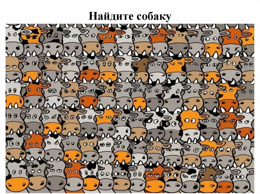 Найти среди животных другое животное. Найди среди. головоломки найди животных. найдите на картинке.