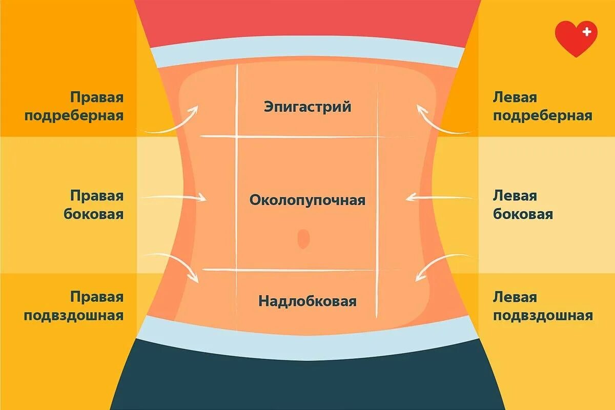 Боль в эпигастрии подвздошную область. Области живота. Болит в области живота. Болит живот в эпигастральной области. Боль в подложечной области.