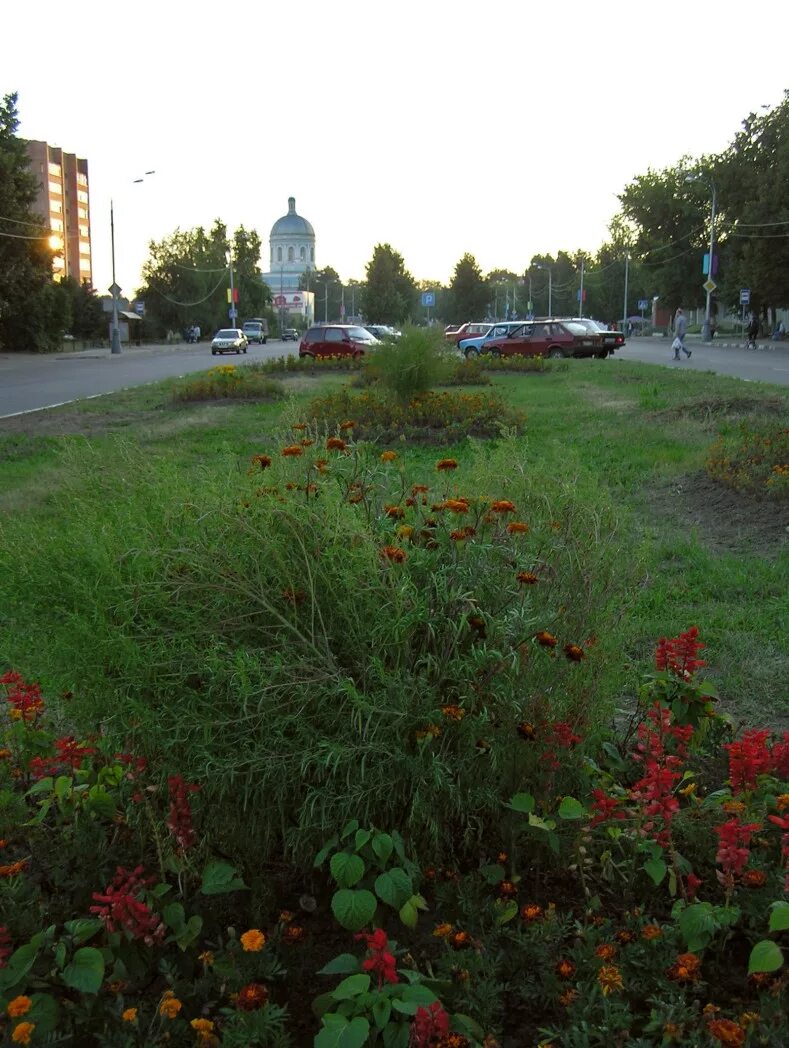 Поселок озеры. Город озёры Московская область. Природа - город Озеры - Московская область. Городок озёры. Росреестр г Озеры ул Ленина.