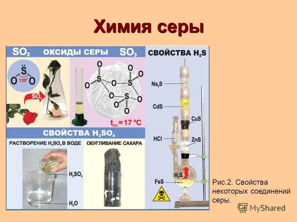 Сходные элементы серы