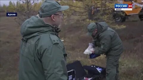Вести 19