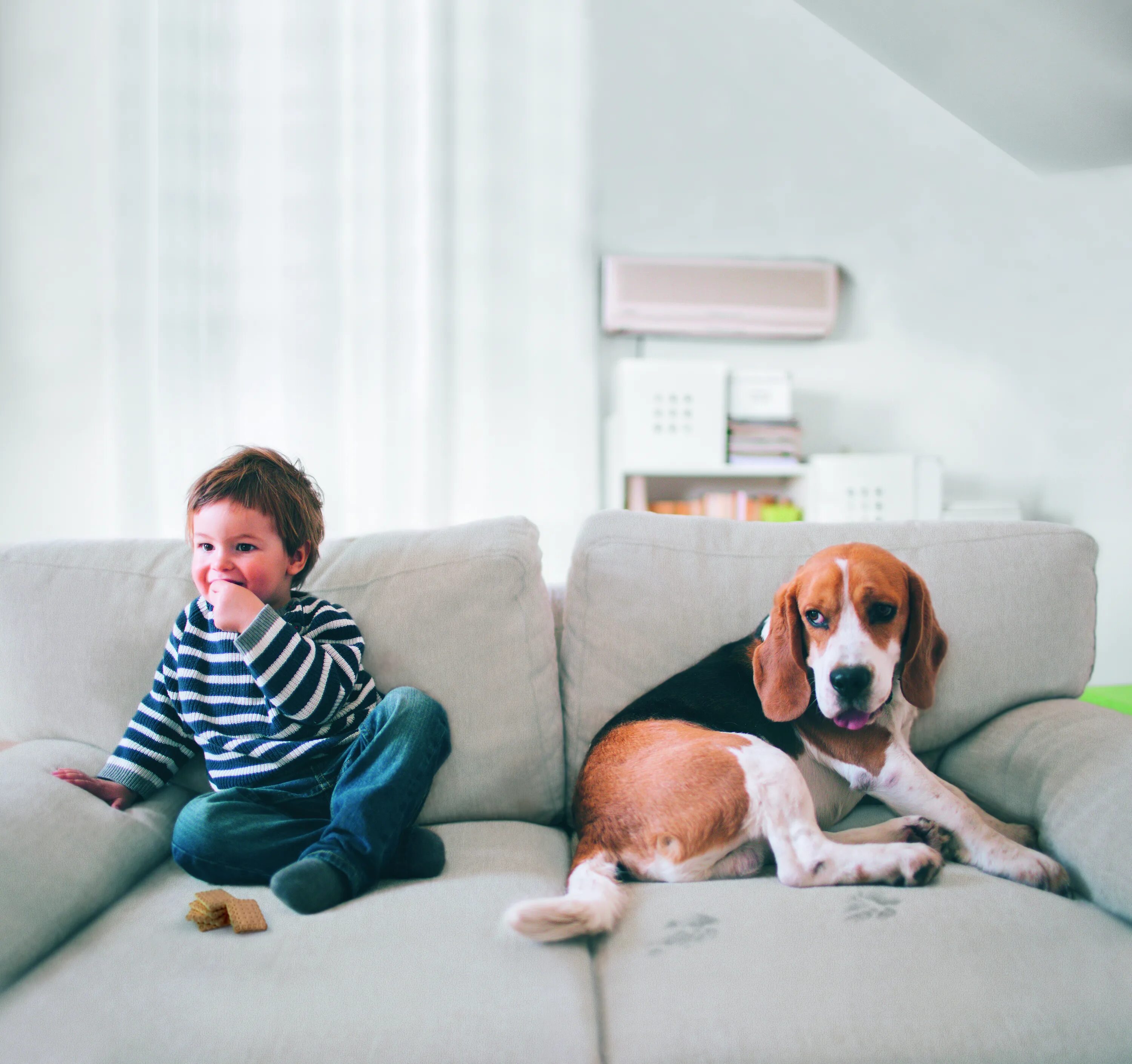 Pets at home