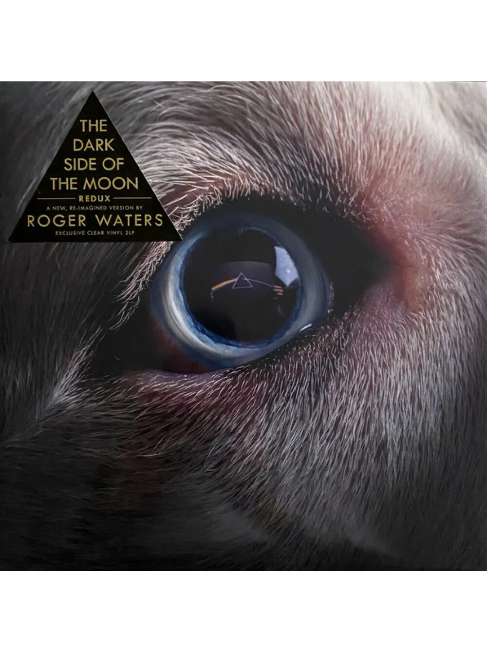 Pink floyd the dark side of the moon cover. Dark side of the moon обложка. Dark side of the moon redux. Пластинки пинк флойд выпущенные в ссср. Собака с глазами в разные стороны.