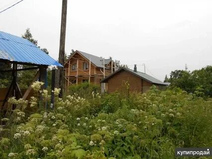 Садоводство красный октябрь санкт петербург