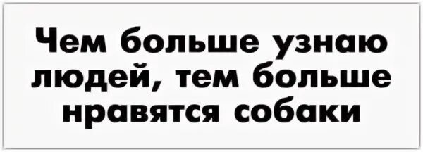 Чем больше познаю людей тем больше нравятся собаки. Чём больше узнаю людей тем больше нравятся собаки. Чем больше узнаю людей тем больше. Чём больше узнаю людей тем.