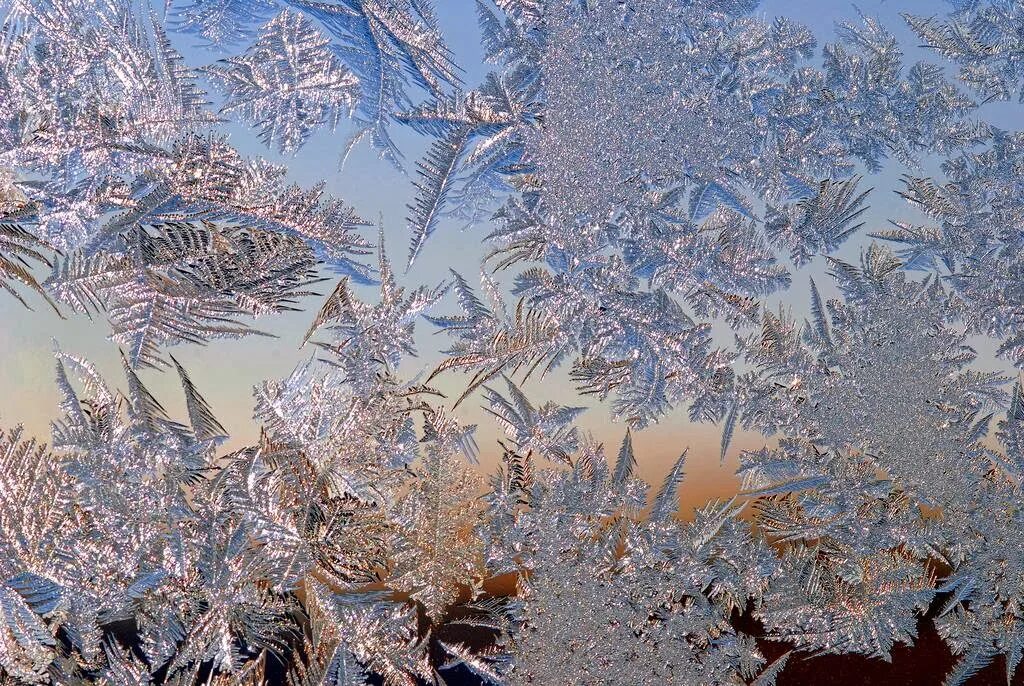 Зимние узоры. Морозные узоры на стекле. Морозное окно. Морозные узоры на окне.