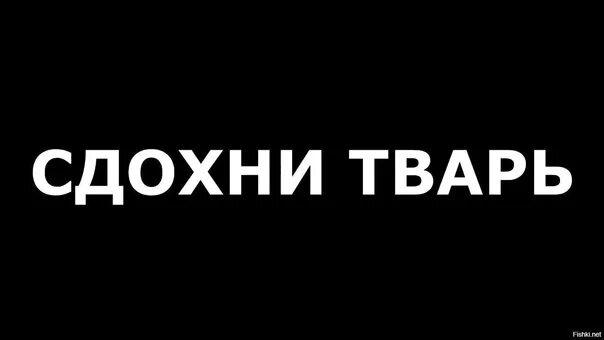 Дыры продажной твари