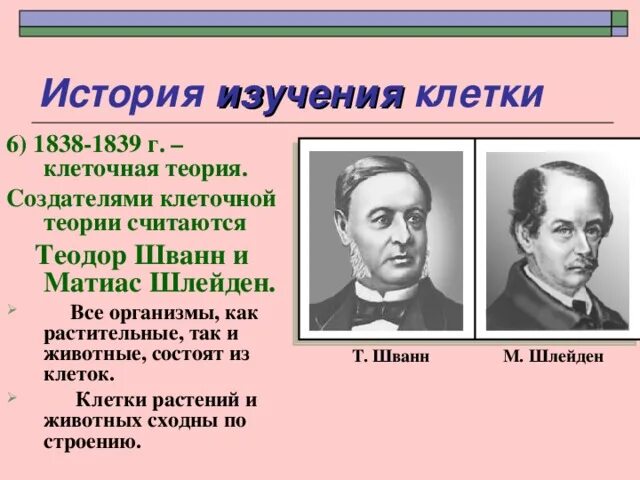 Почему формирование клеточной теории ускорило исследование клетки. Почему формирование клеточной теории ускорило исследование клетки