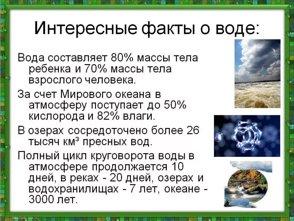 Интересная информация кратко