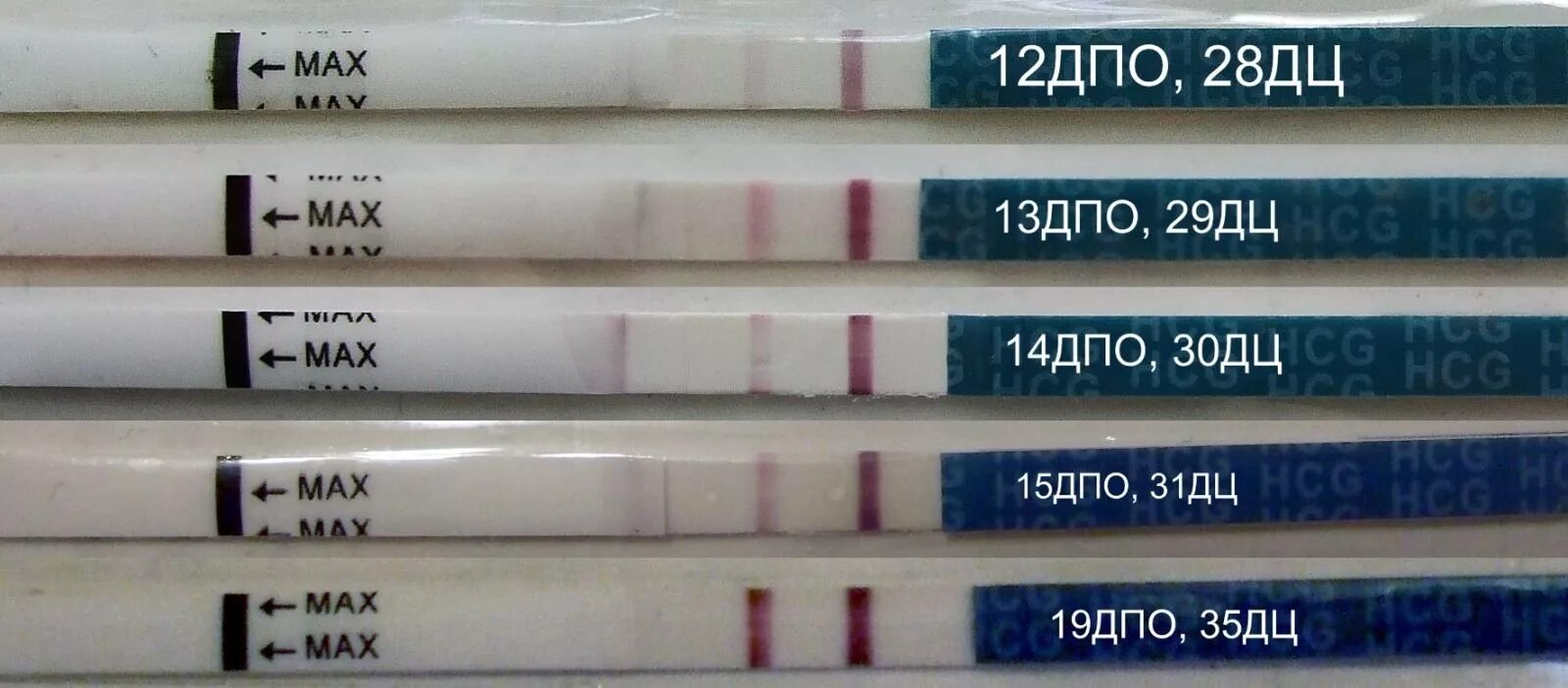 Дополнительное профессиональное образование тесты. 15 ДПО тест. 28 ДПО тест отрицательный. 15-16 ДПО тест. 30 ДПО тест.