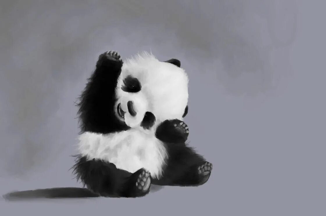 Милые панды. Панда картинки. Панда обои. Картинки на рабочий стол Панда. Картинка милой панды