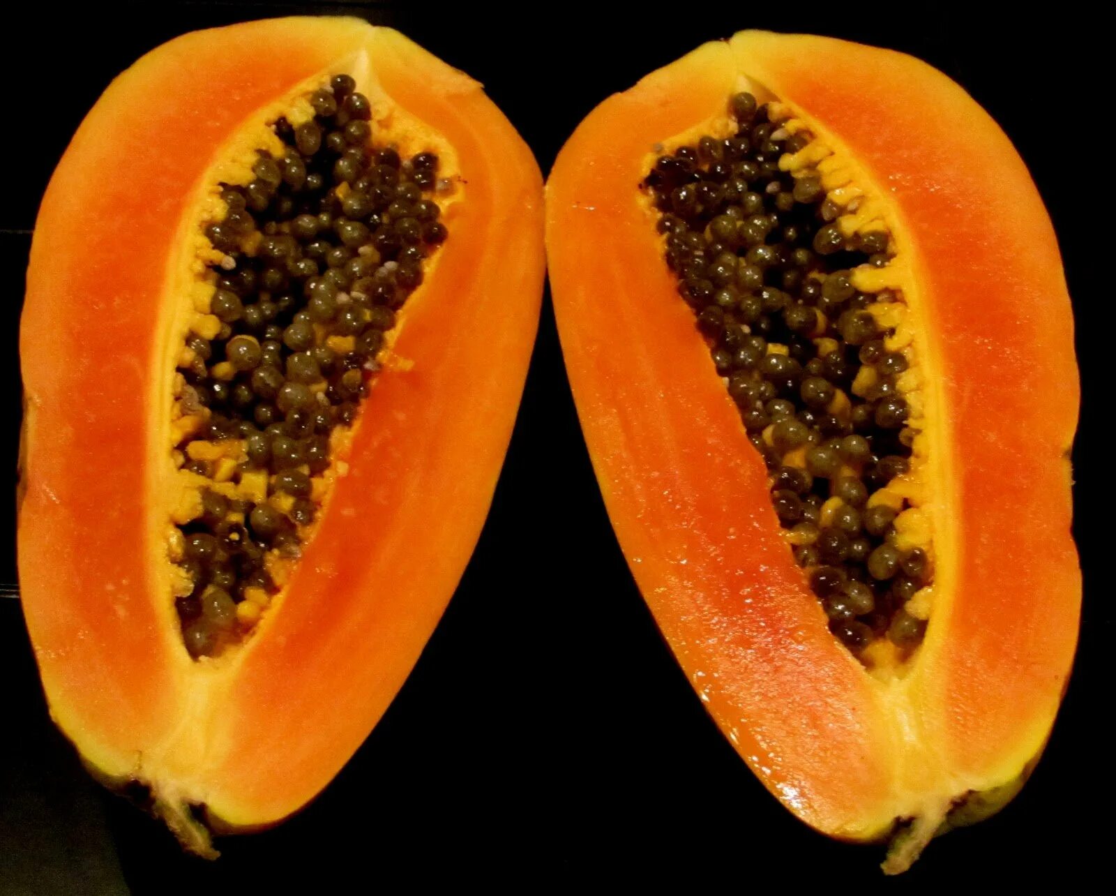 Оранжевый фрукт с черными. Папайя цитрус. Папайя Драконий. Папайя Египетская. Папайя тайская.