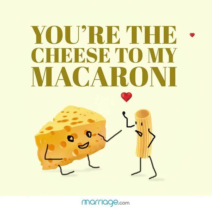 What cheese are you. I am the cheese. смысл песни macaroni cheese.