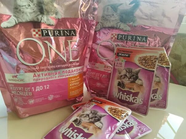 Purina one для котят. Purina one для взрослых кошек. Пурина ван корм для кошек лосось. Пурина пакетики. Пурина ван корм для кошек лосось.