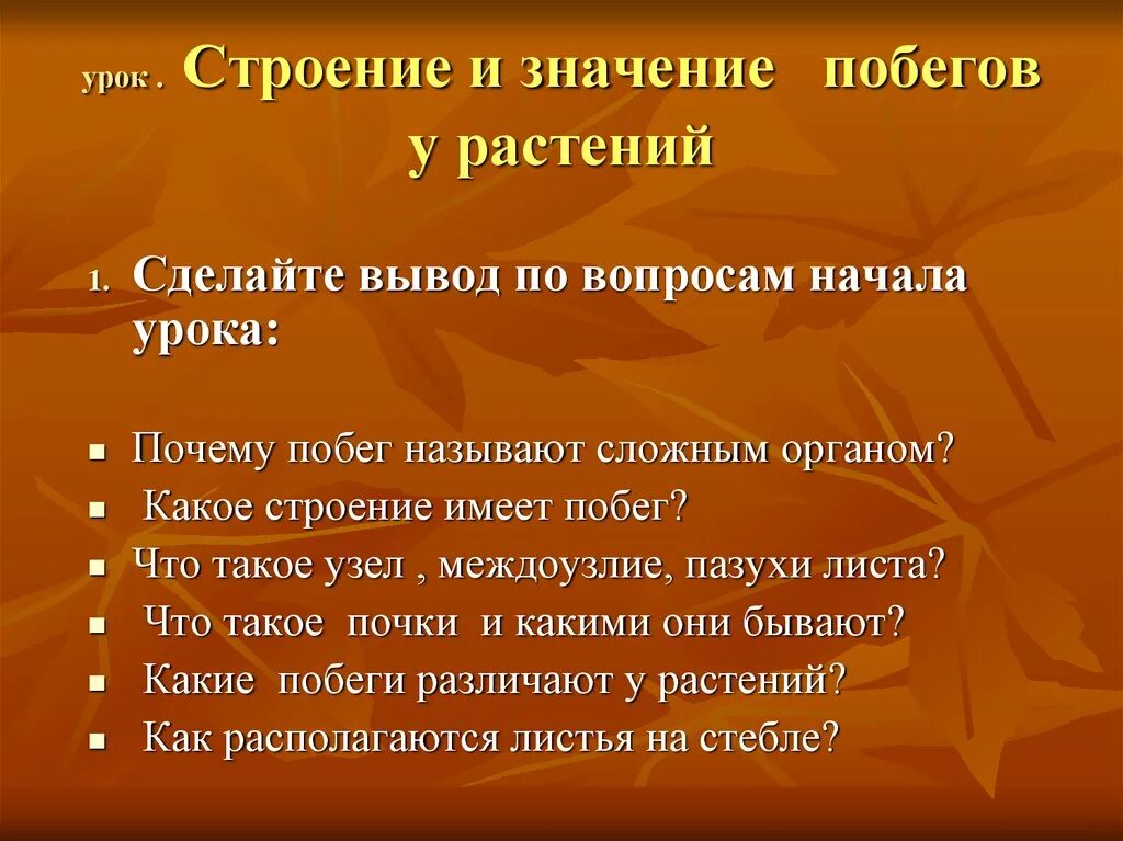 Значить сбежать. Строение побега вывод. Значение побега. Строение и значение побегов у растений. Вывод о многообразии побегов у растений.