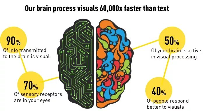 Brain processing. The process of Brain Drain. Brain activity correlation Visual. Brain help. Visual Memory.