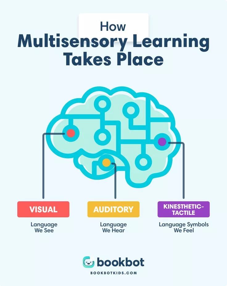 Multi learn. Multisensory. Multi Sensory Learning. Sensory Learning methods. Multisensory Development.