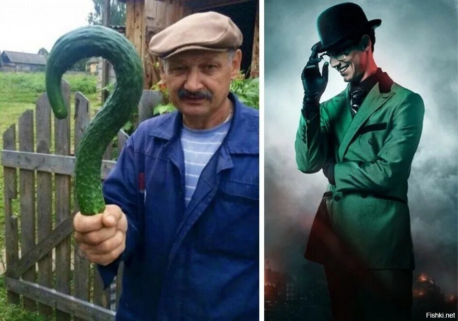 Вопросительный огурец. Кривой огурец. Созрел вопрос огурец. Огурец вопрос мем. Человек вопрос с огурцом.