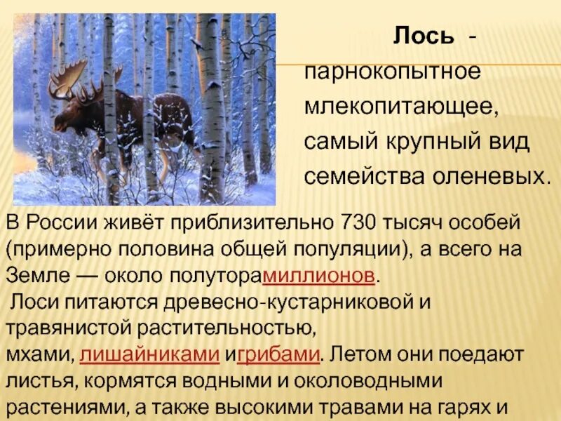 Произведение лоси. Сочинение лоси 2 класс. Сочинение по картине лоси 2 класс. Рассказ на картину лоси 2 класс. Рассказ по картине Степанова лоси 2 класс.