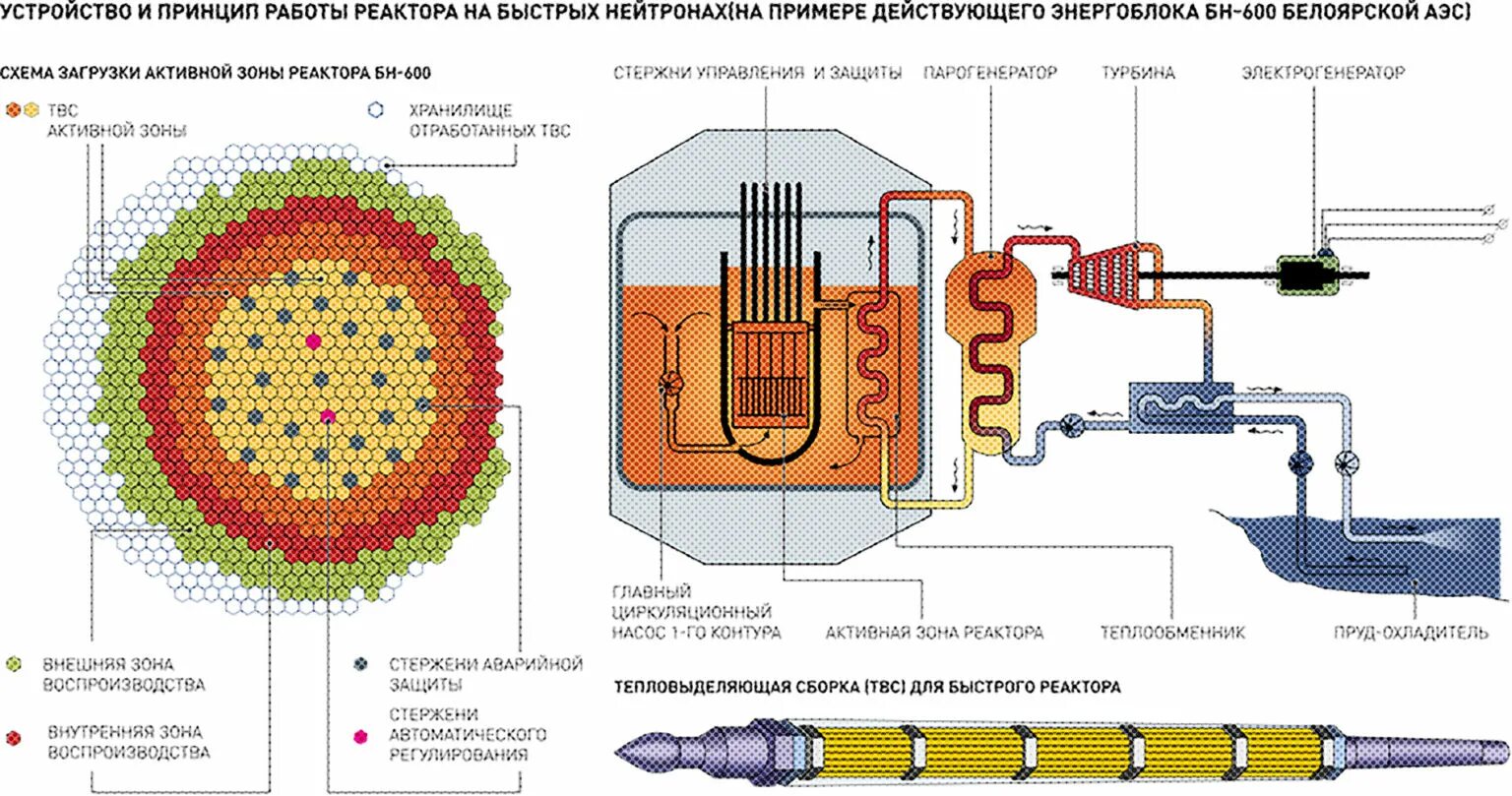 Работа атомного реактора. Ядерный реактор бн-800 схема. реактор на быстрых нейтронах схема активной зоны. принцип действия ядерного реактора схема. принципиальная схема аэс бн-600.