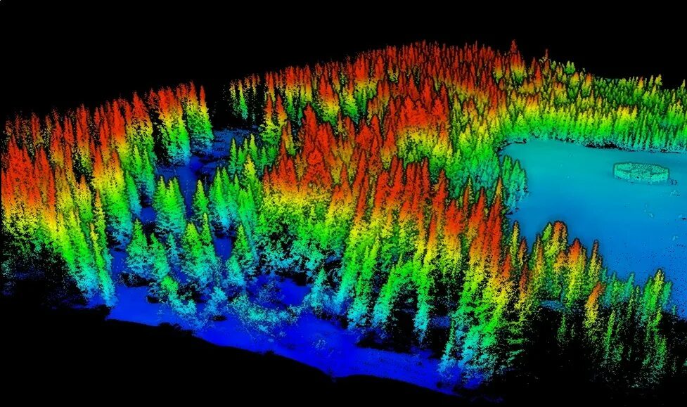 Лидар 360. Лидар в лесу. лидар цмм. технология lidar. лидарная съемка.