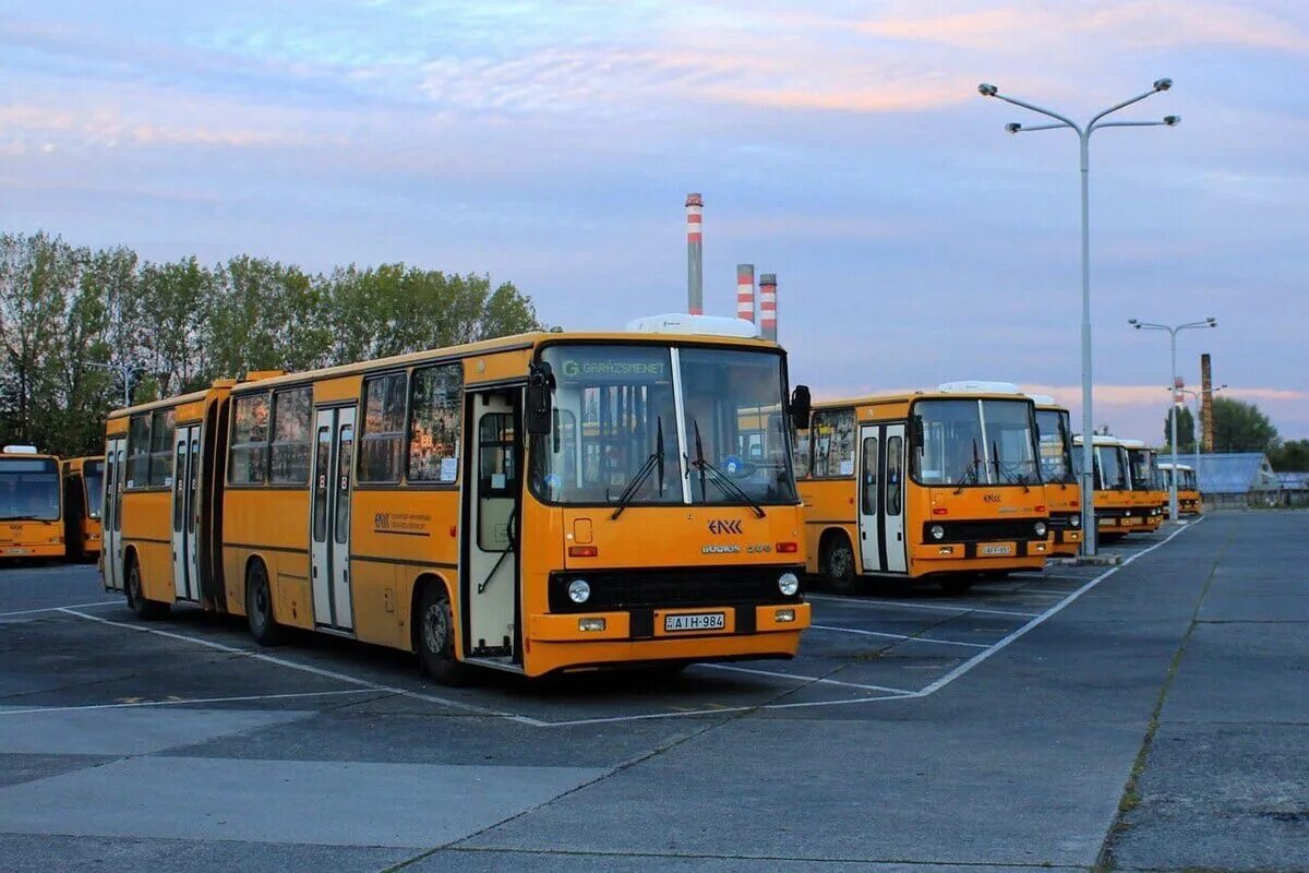 Автобус икарус 280. Икарус 280. Автобус Ikarus 280. Икарус 280 гармошка. Икарус 280 желтый.