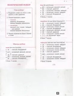 Виды разборов 7 класс