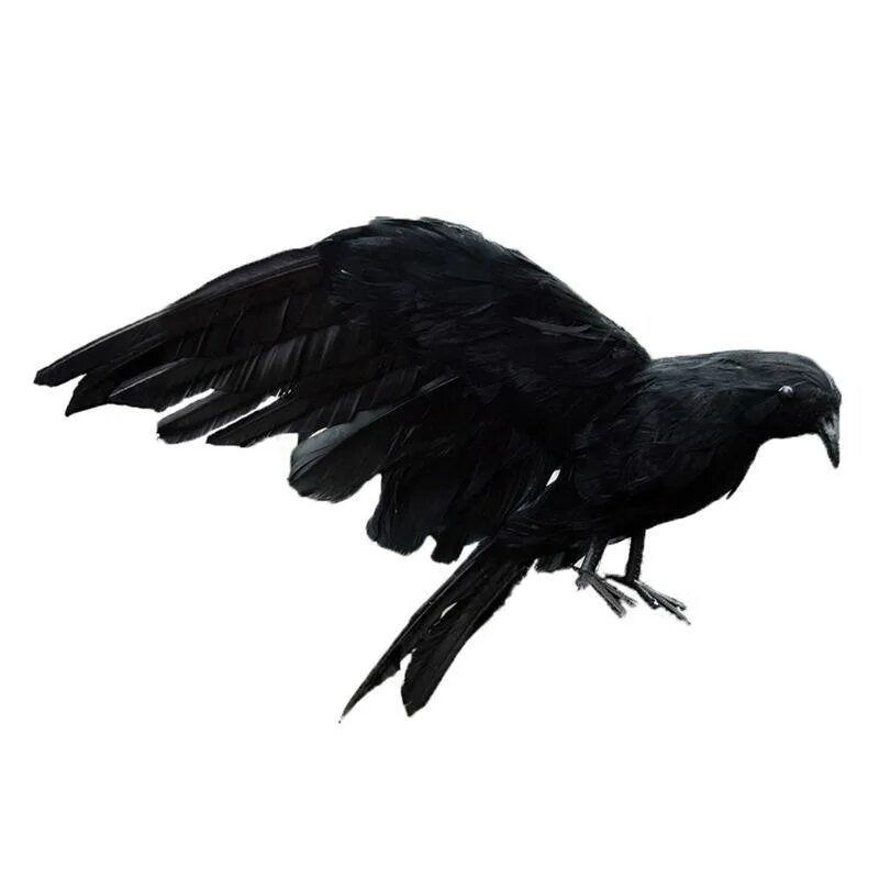 Ручной ворон. Buy crow. Дасквуд ворон. Чучело вороны для отпугивания ворон. Игрушка ворона.