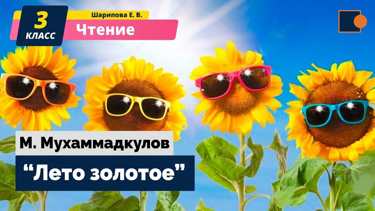 Зачем это лето золотое. Кадышева тексты песен. Золотое кольцо альбомы диски. Домовенок тепа и золотое кольцо. Золотое лето.