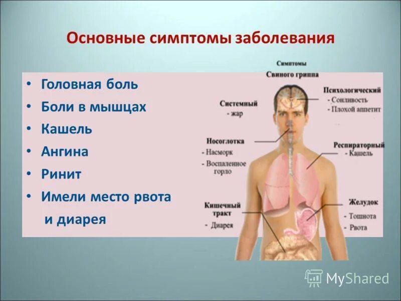 Точки грипп. Симптоматика заболеваний. Ломота в теле и головная боль.