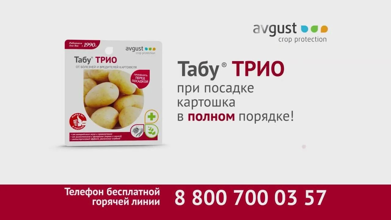 Как развести табу. Протравитель для картофеля от колорадского жука. от проволочника препараты для картофеля. препараты от проволочника при посадке картофеля. средство от болезней и вредителей картофеля &quot;табу трио&quot;.