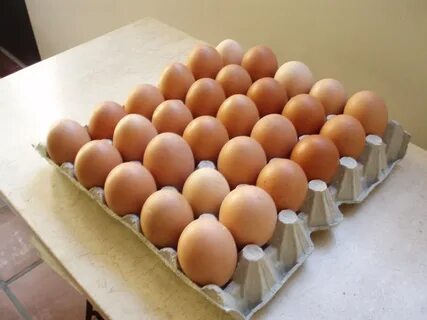 Huevos de gallina. 