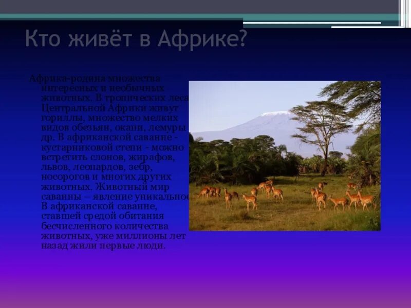 Каково место африки в мире. Кто живет в Африке. Кто живет в саванне и в тропическом лесу. Африка Родина. Саванна и тропический лес.