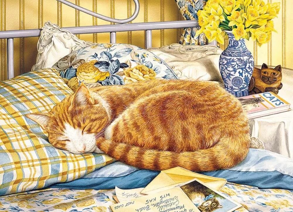 Cat nap art