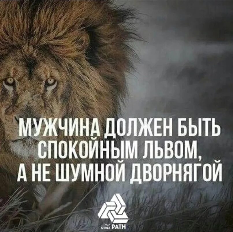 Будь спокойна и сильна. Лев цитаты. Цитаты про Львов. Статусы про Льва. Фразы про Льва.