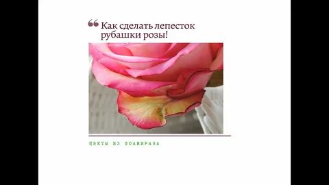 Что за розы ты же это