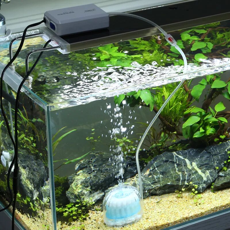 Вода в аквариуме. Теплую воду в аквариум. Аквариумный фильтр fish tank air. Eheim aqua. Мини фильтр мв-201 для аквариума.